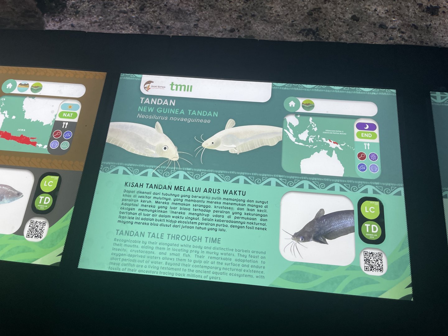 new guinea tandan signage - dunia air tawar