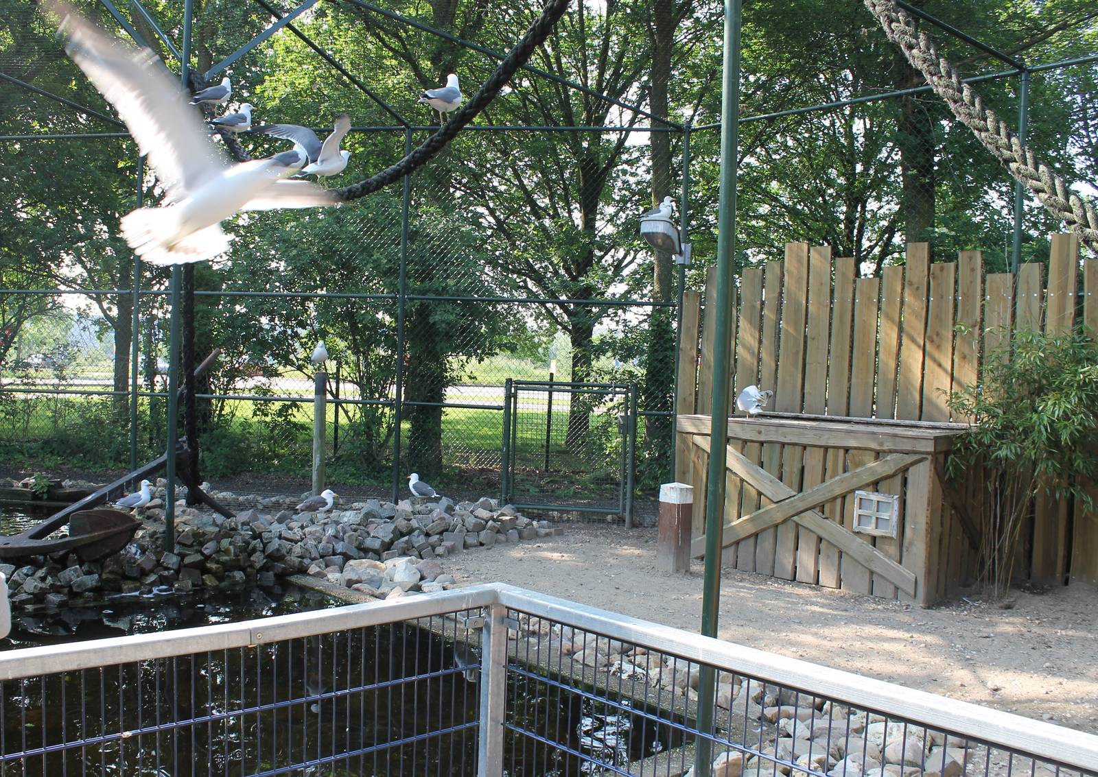 New Gull walk-through aviary