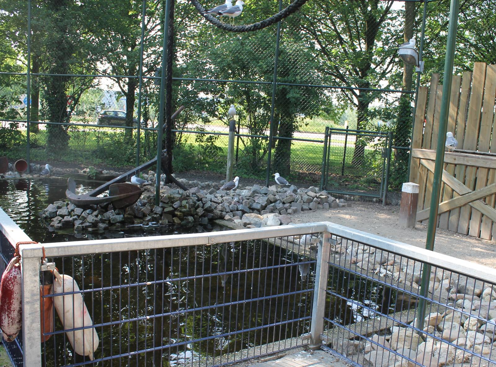 New Gull walk-through aviary