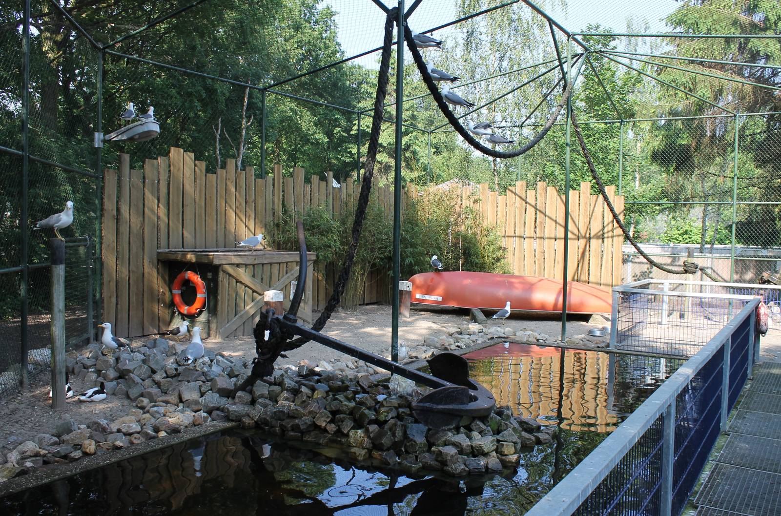 New Gull walk-through aviary