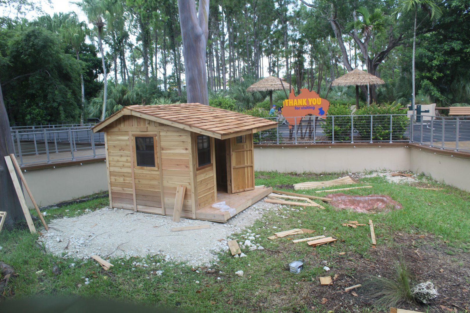 New Guniea Singing Dog Exhibit - Australian Center