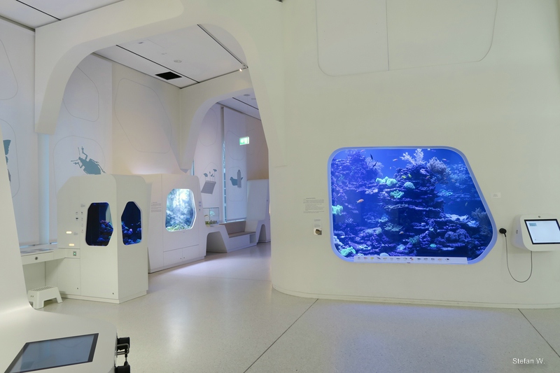 New Hall with front view of the coral reef