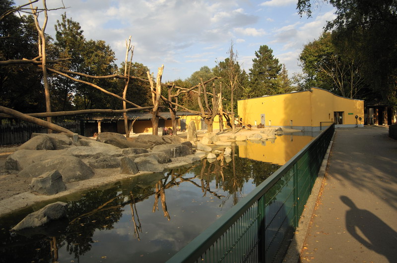 New Hamadryas Baboon enclosure at Augsburg zoo