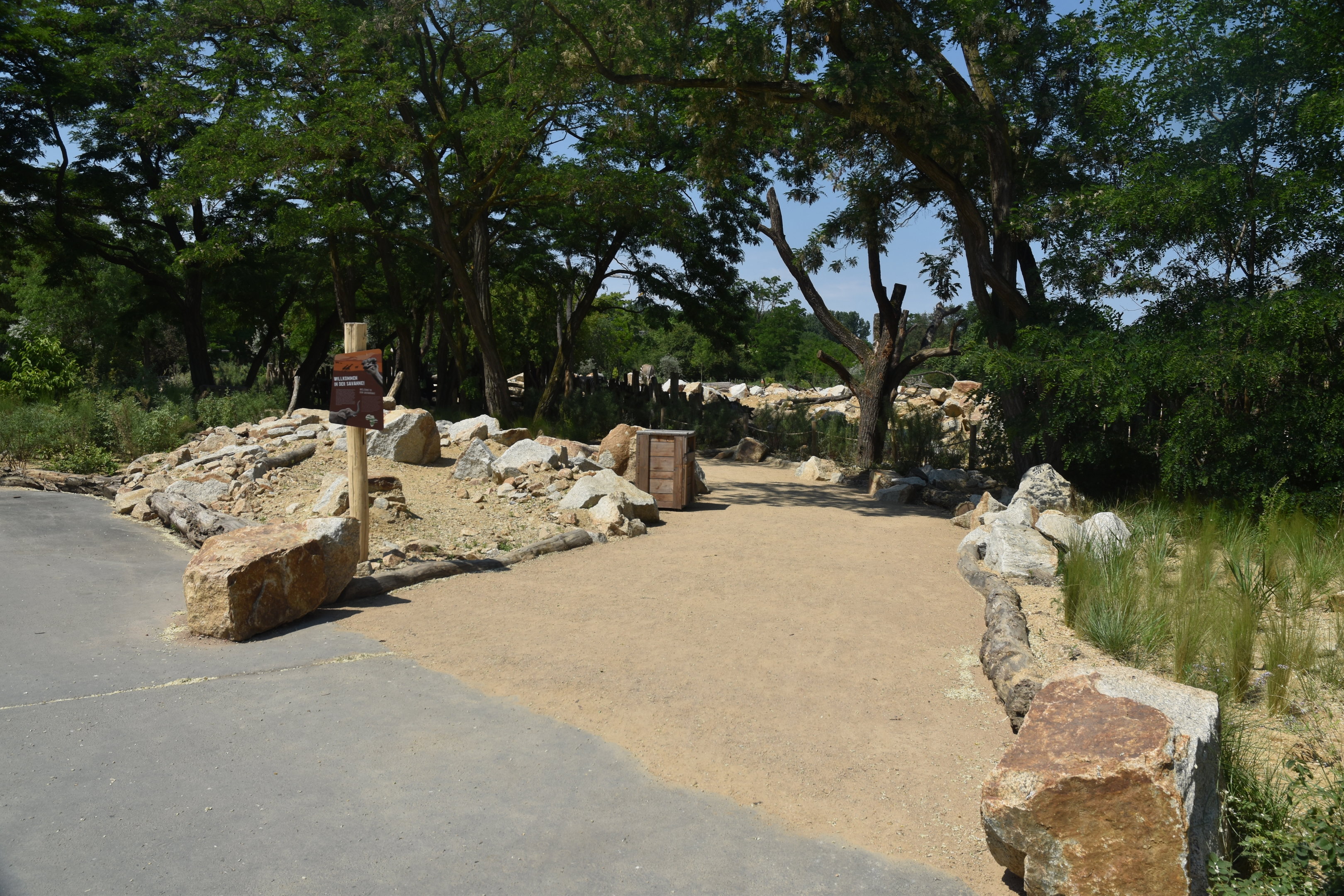 New Hartmann's Mountain Zebra Enclosure at Tierpark Berlin, 9th June 2023