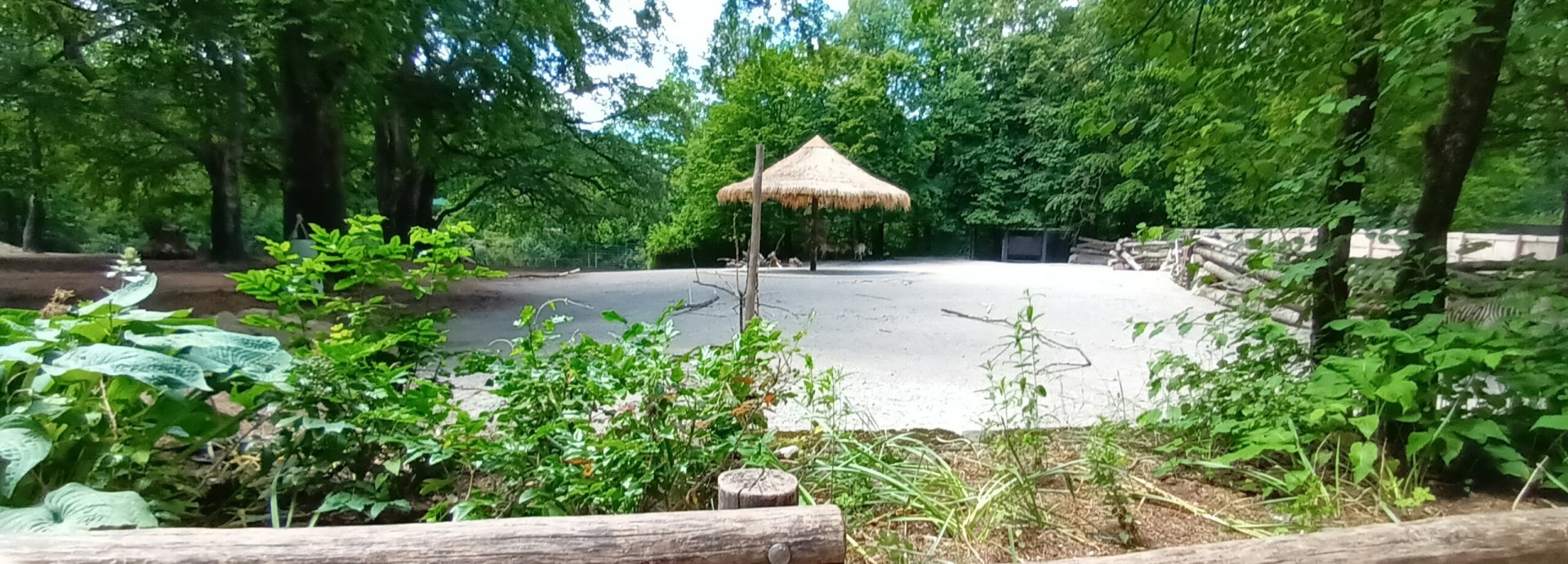 New Hartmanns Mountain Zebra Enclosure