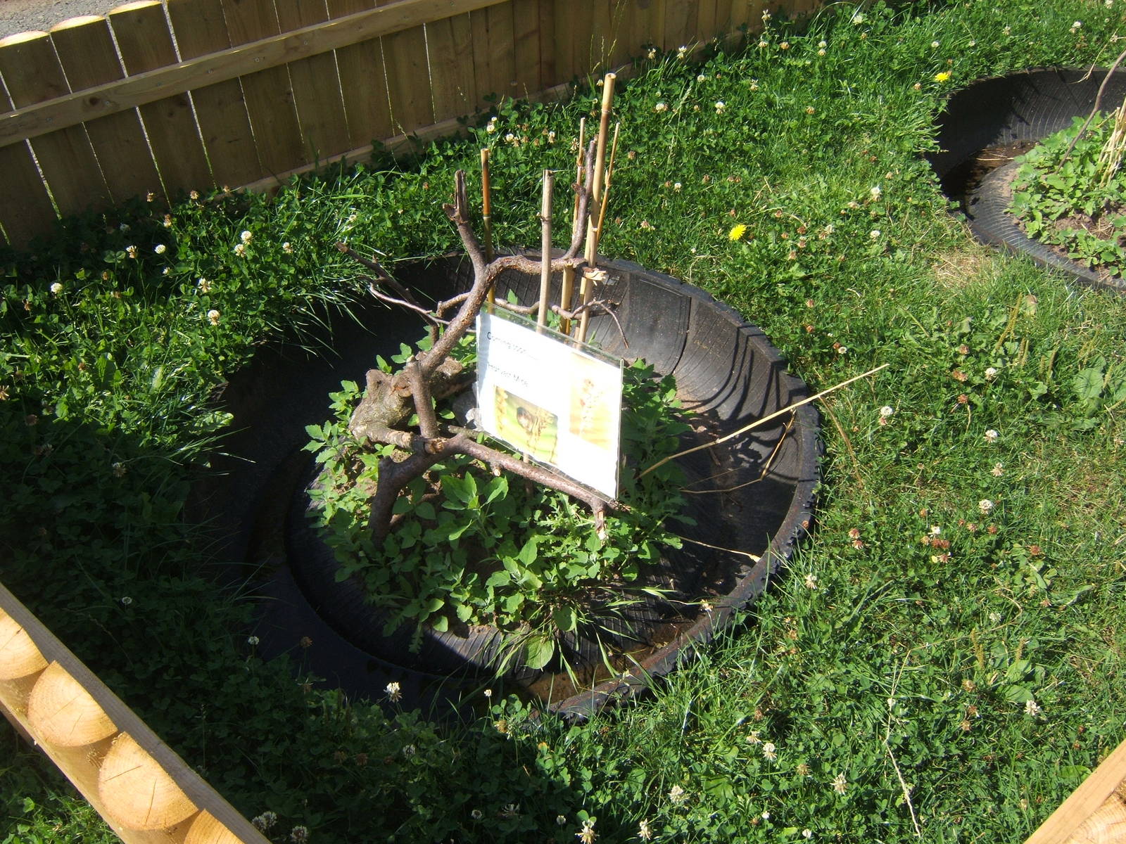 New Harvest Mouse exhibit