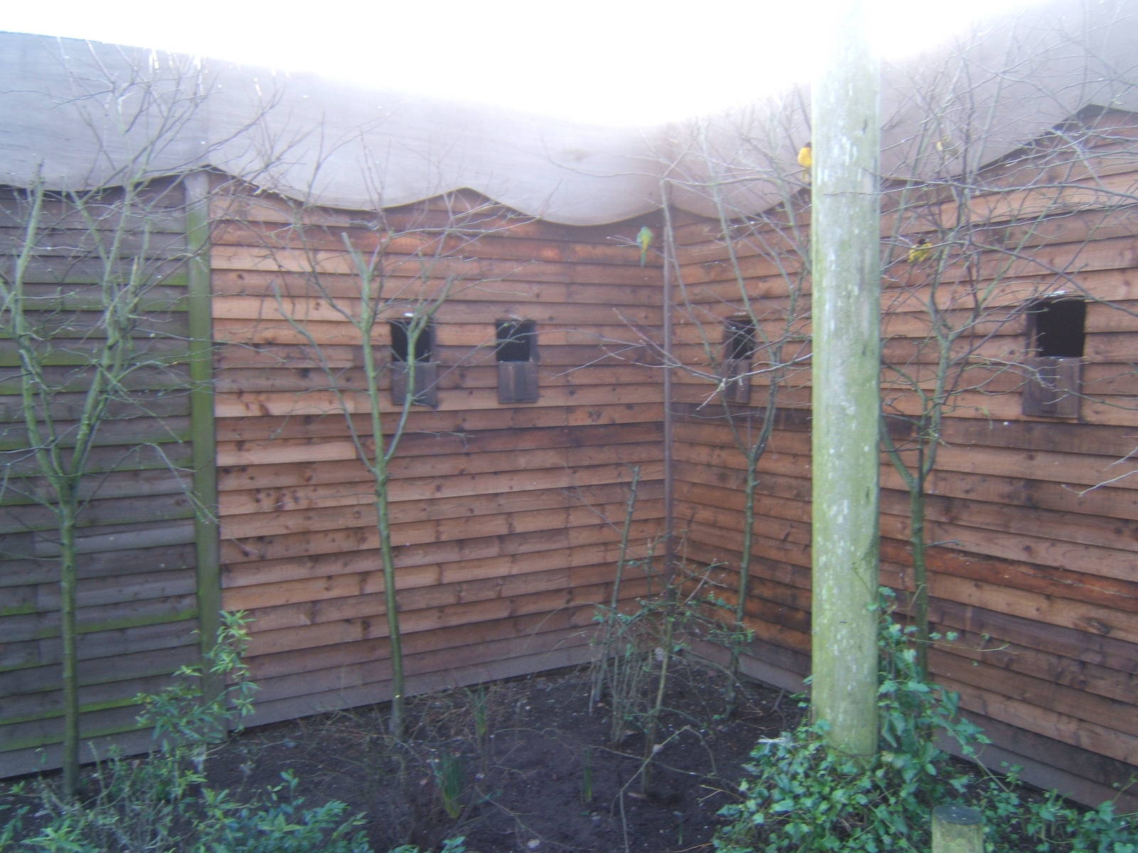 New heated housing for birds in walk through aviary