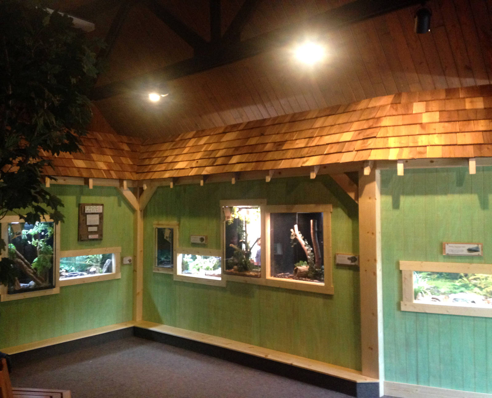 New Herp Exhibits
