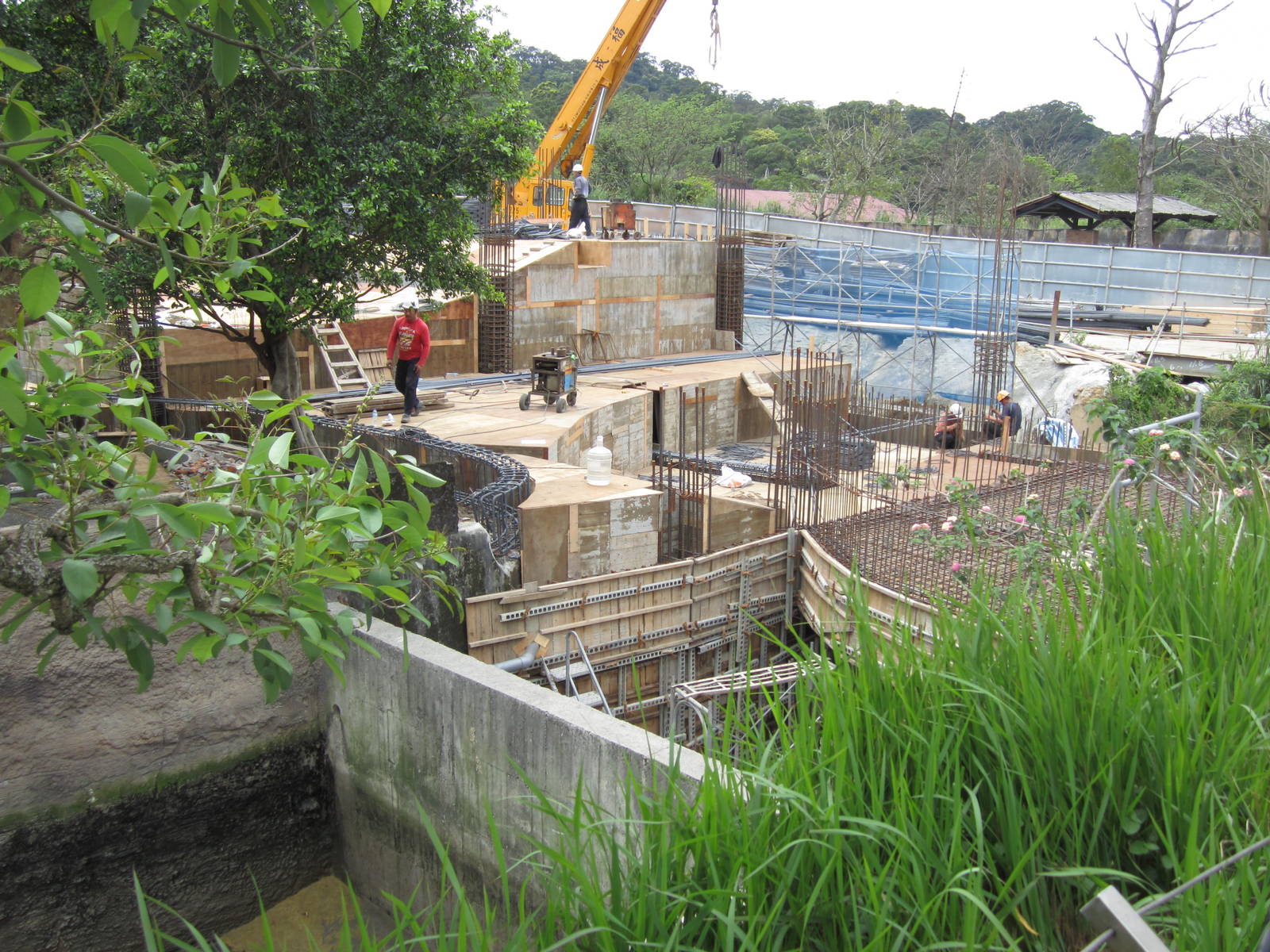 New hippo exhibt under construct(2014/3/28)