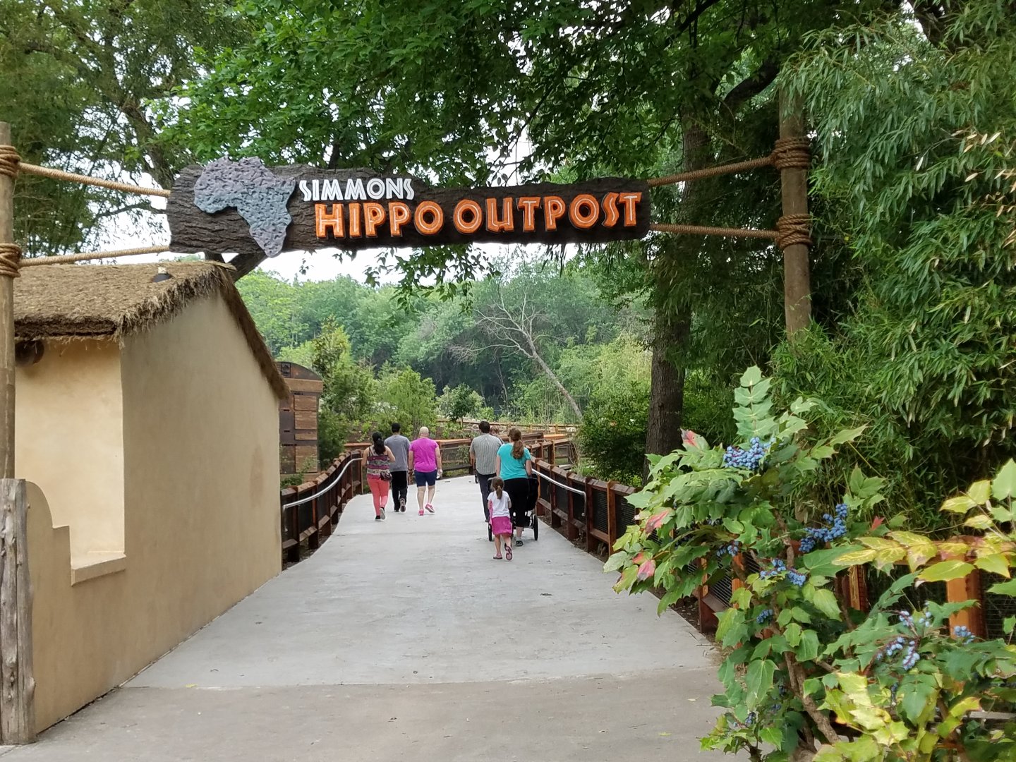 New Hippo Outpost Entrance
