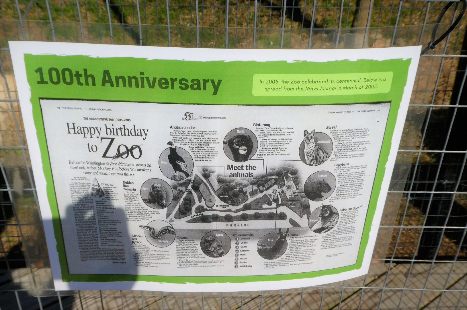 New Historic Signs - 100th Anniversary