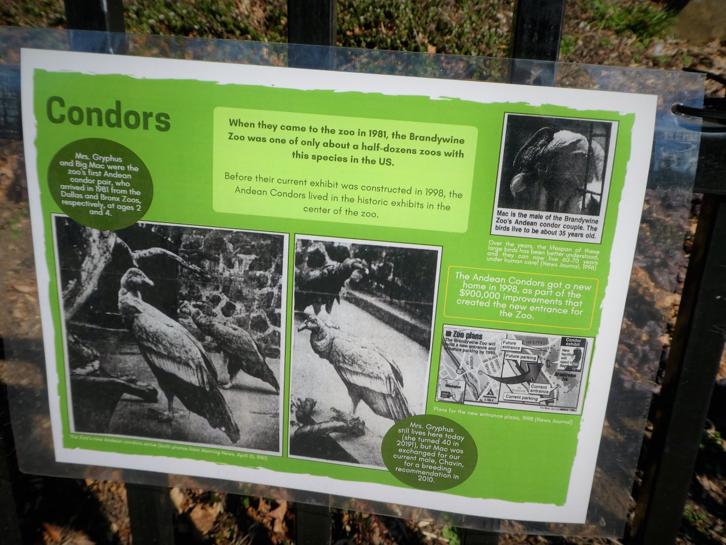 New Historic Signs - Condors