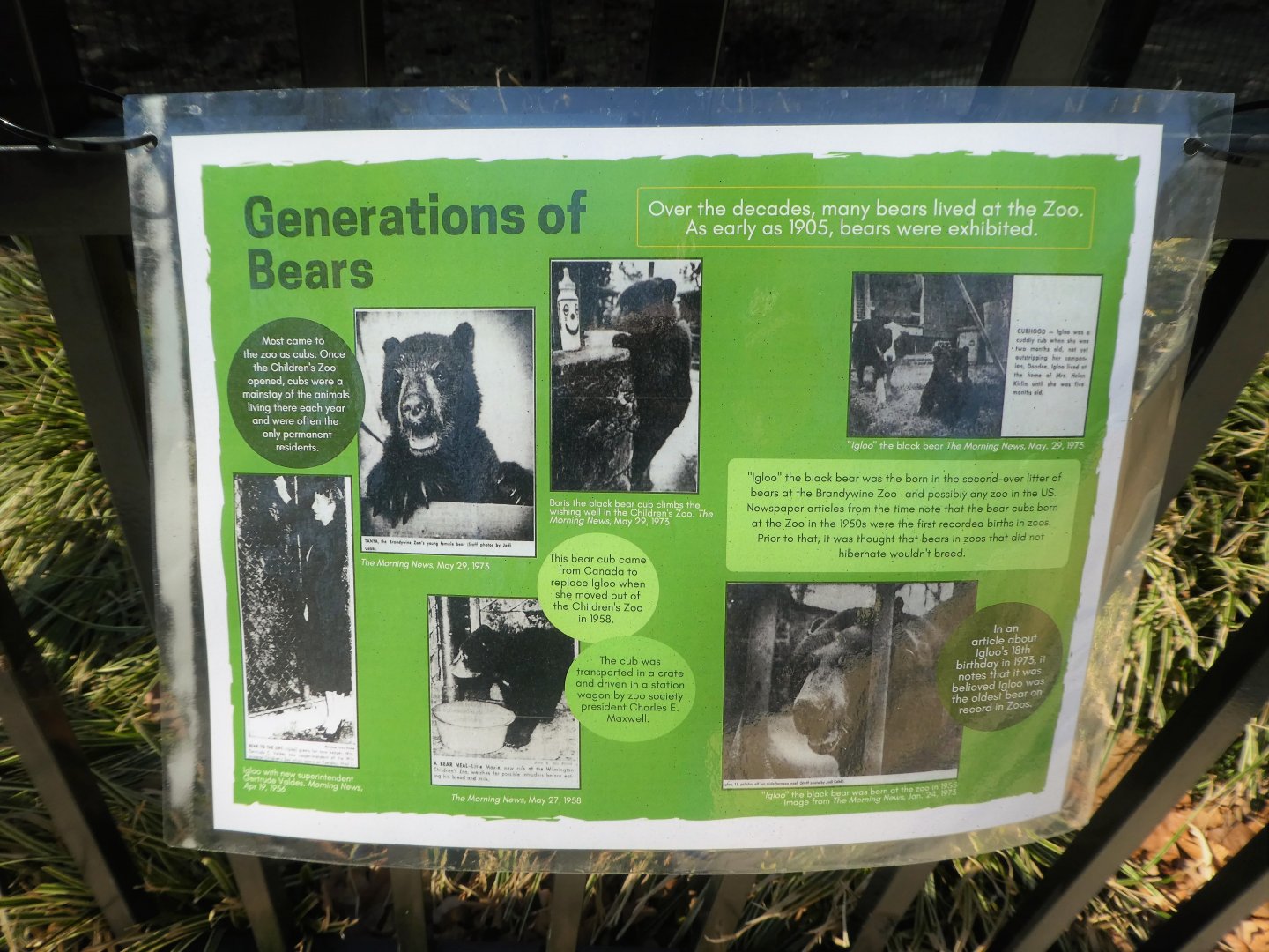 New Historic Signs - Generations of Bears