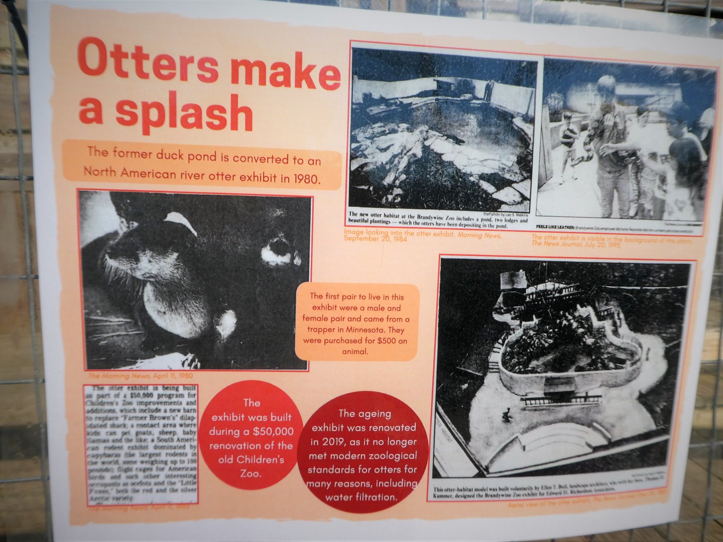 New Historic Signs - Otters Make a Splash