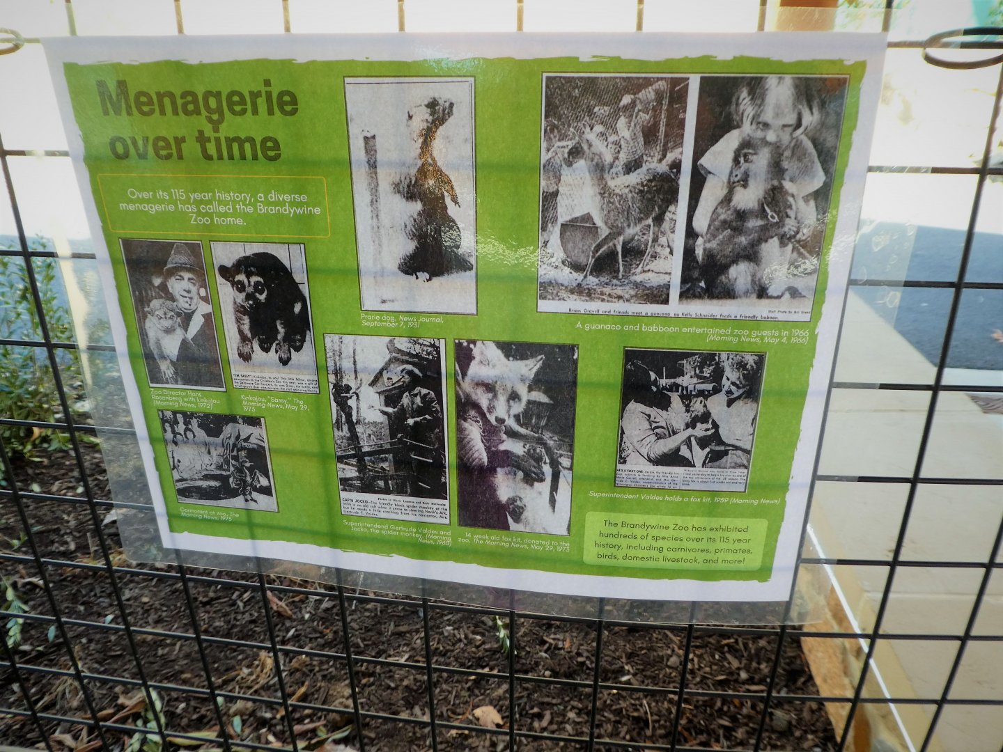 New Historic Signs - The Menagerie Over Time