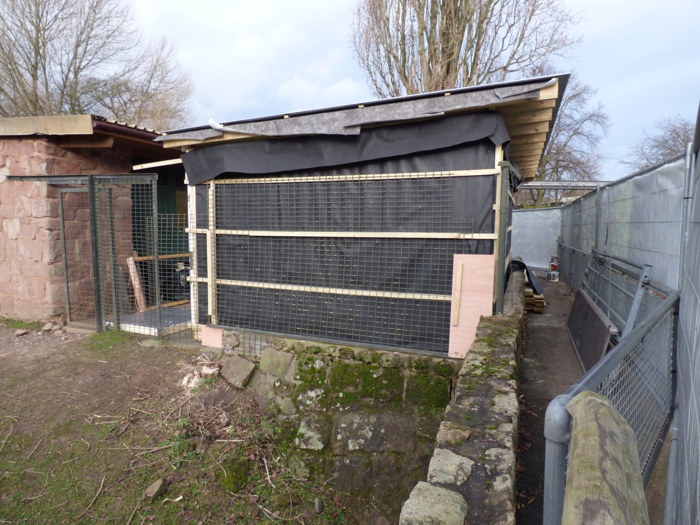 New House Construction by Capybara