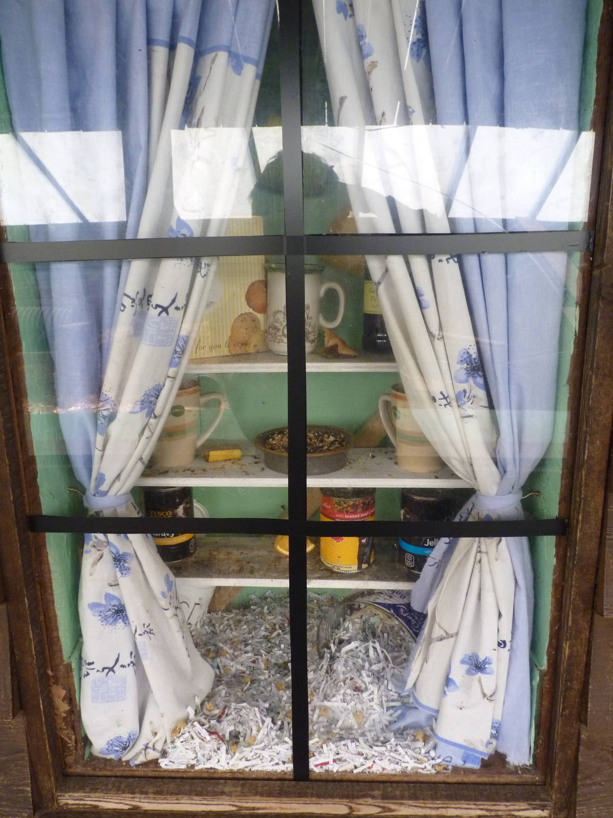 New House Mouse Enclosure