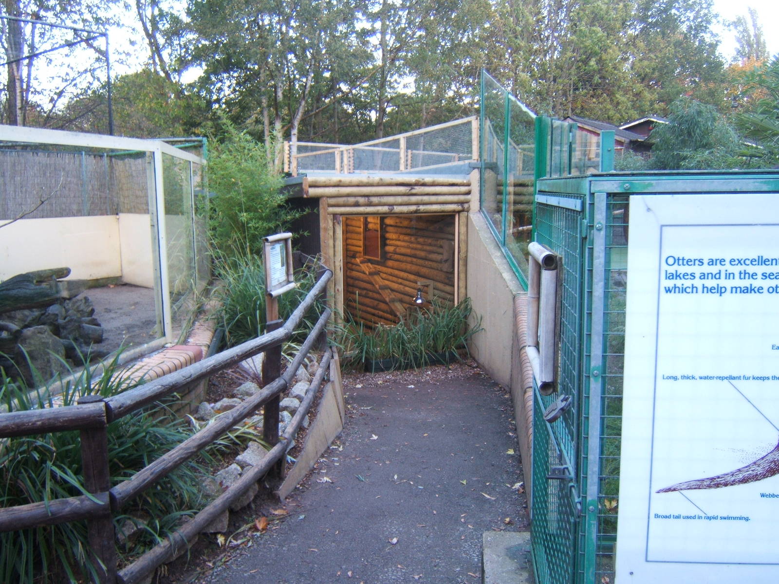 New Housing by the Asian Short-clawed Otters