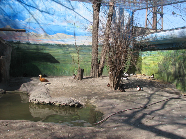 New Hungarian waterfowl aviary in Owl Castle