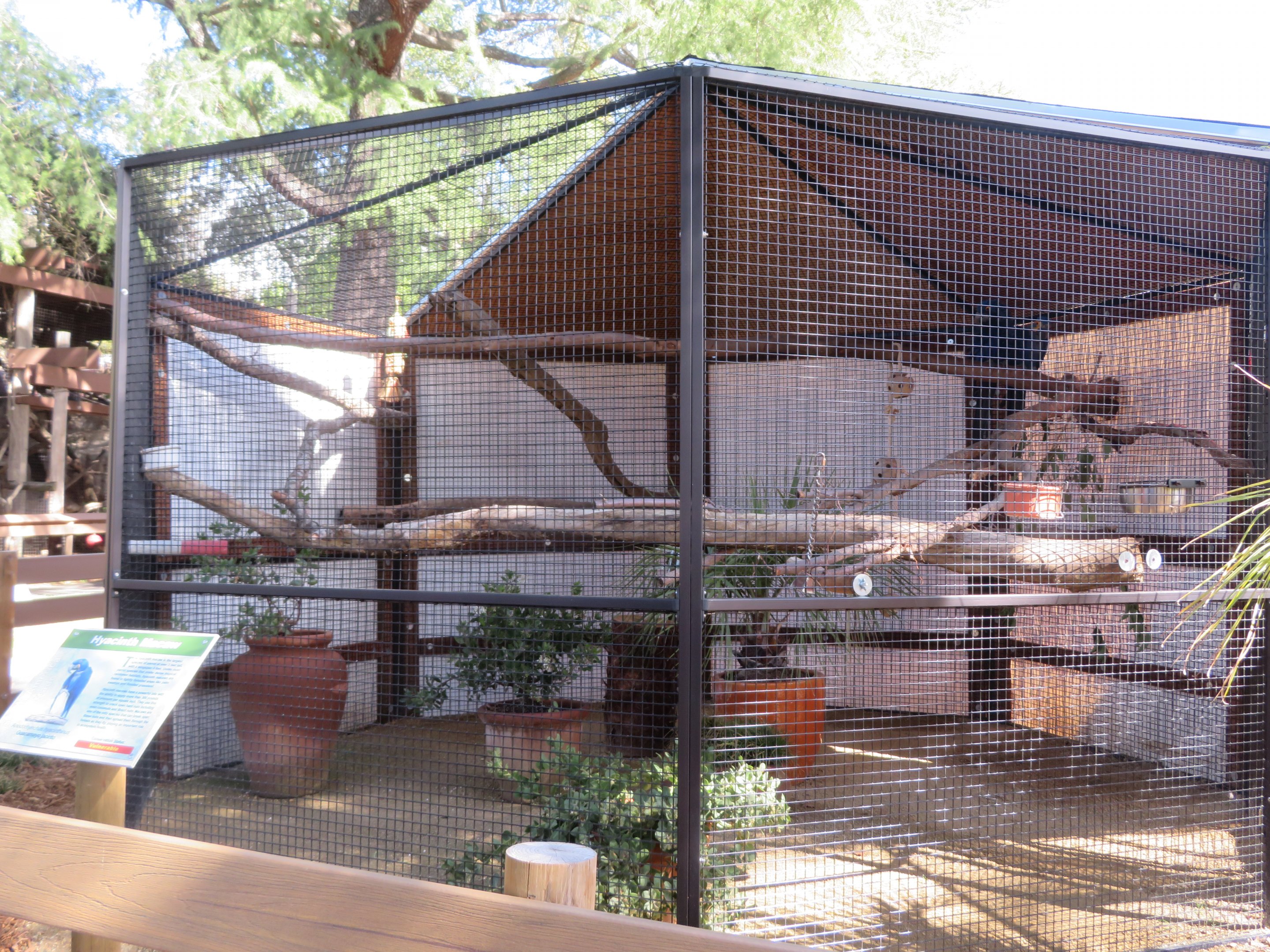 New Hyacinth Macaw Exhibit