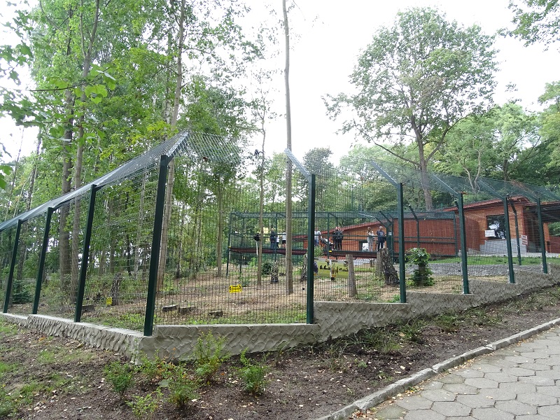 NEW in 2018: King colobus and Nubian ibex enclosures