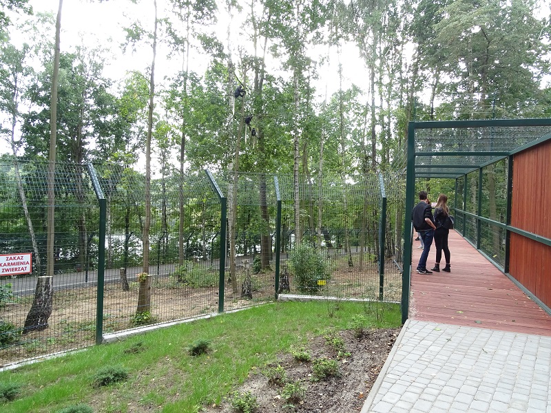 NEW in 2018: King colobus and Nubian ibex enclosures