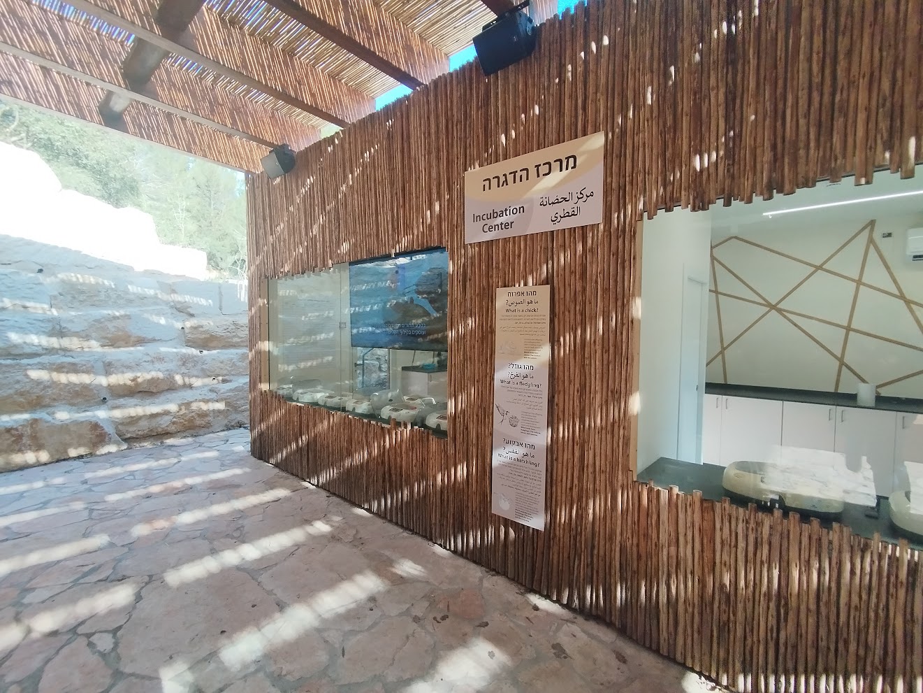 New Incubation Center for Bird of Prey