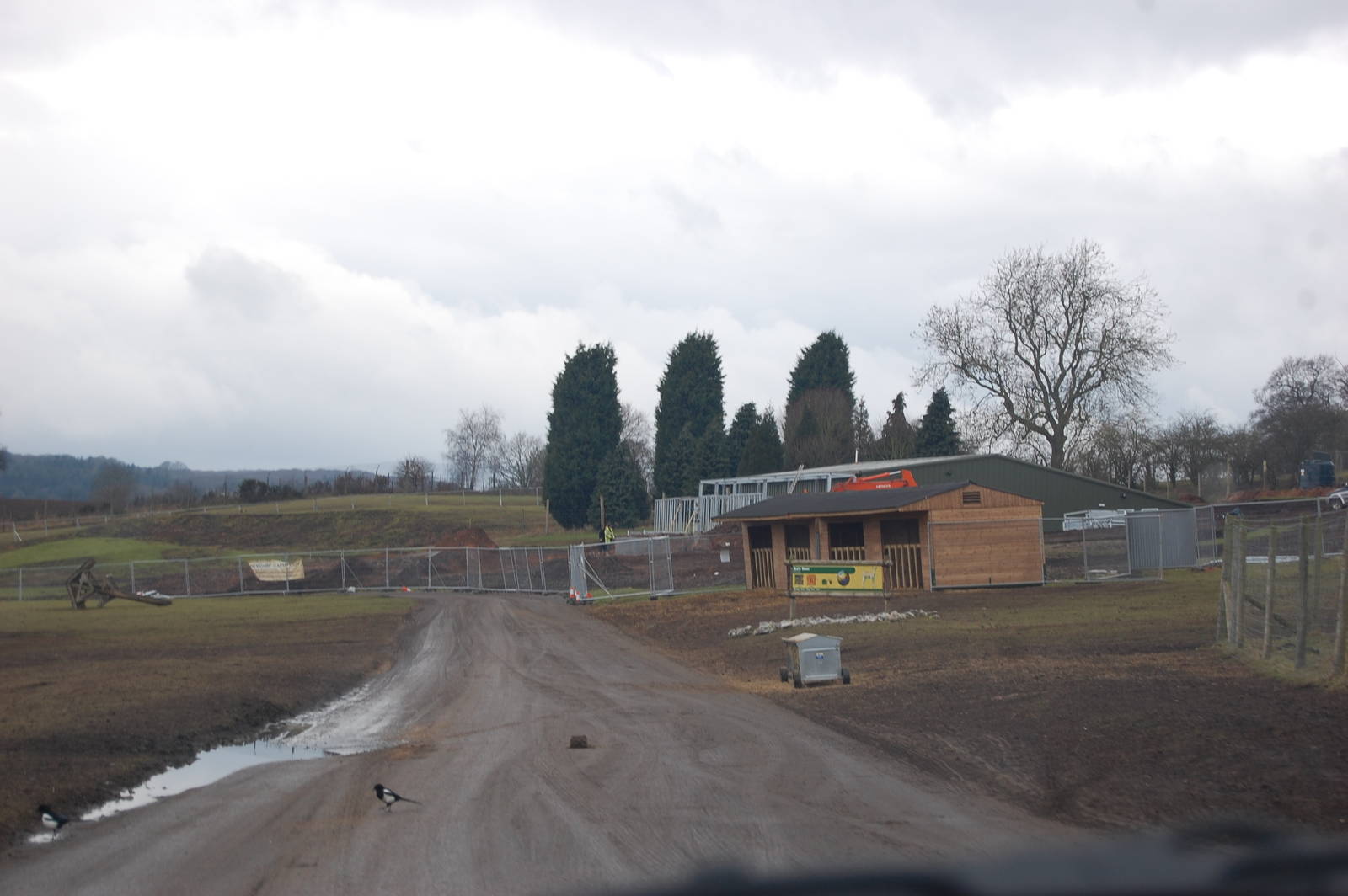 New Indian Rhino Complex