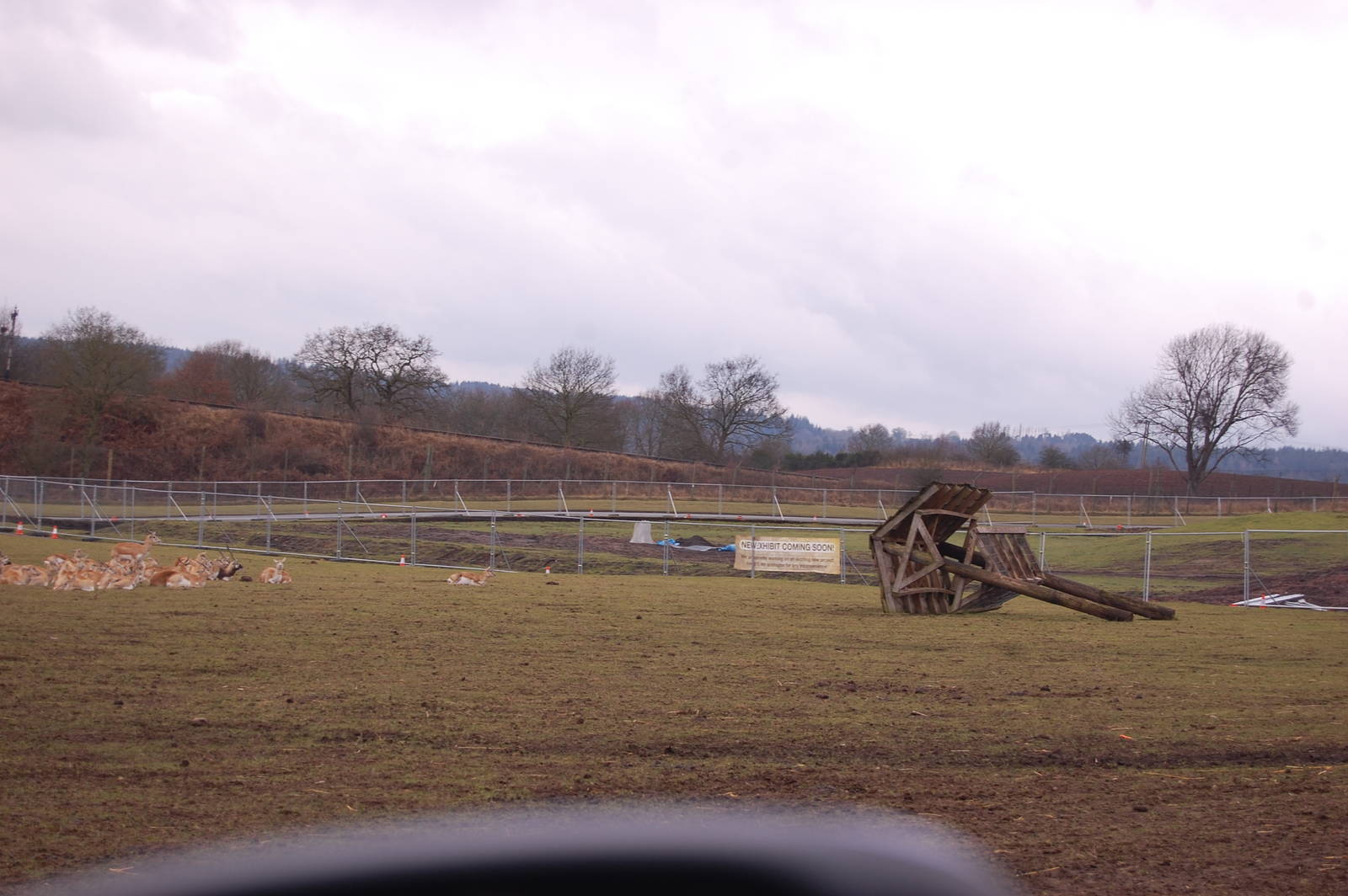 New Indian Rhino Complex