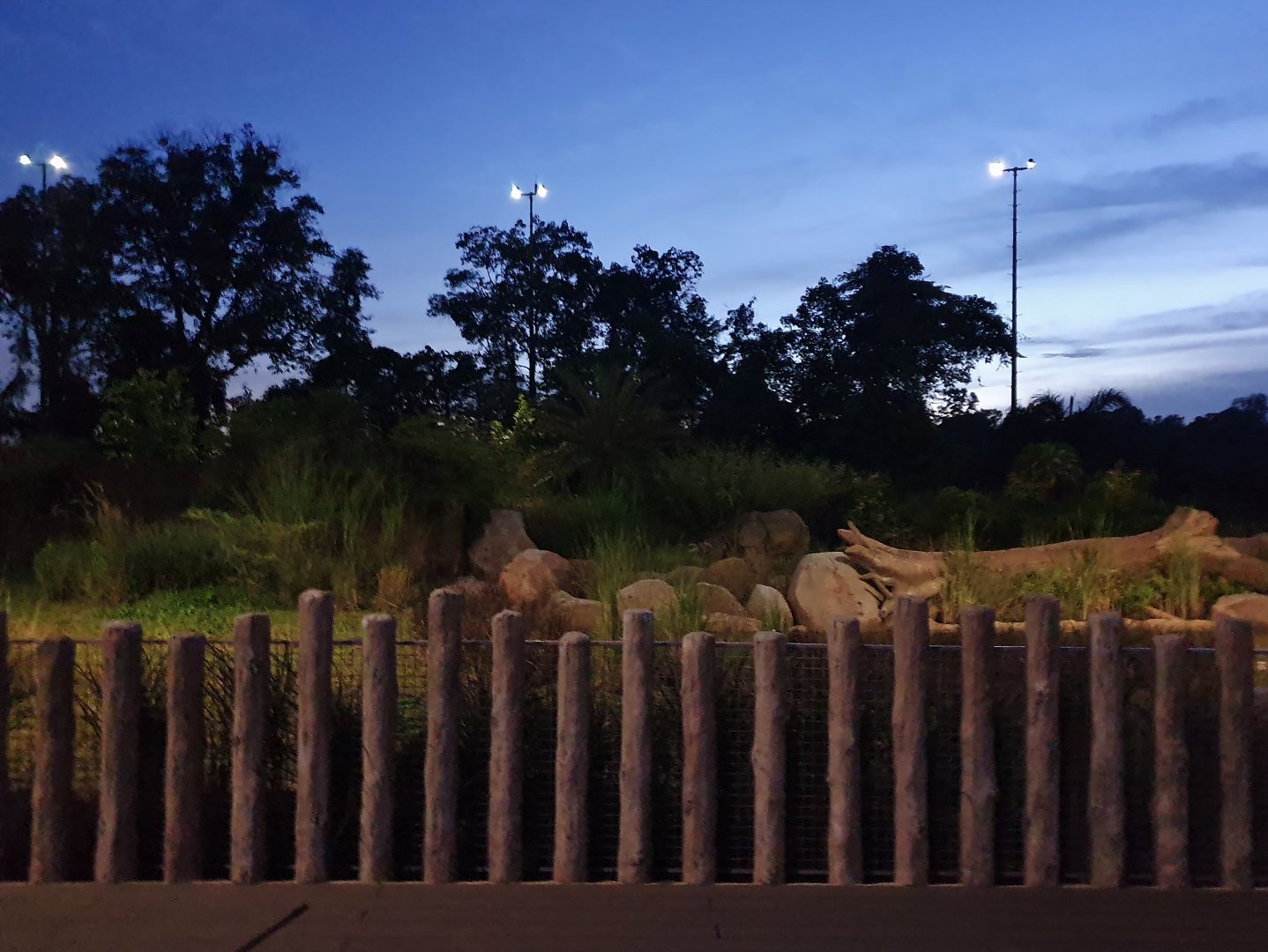 New Indian rhino exhibit