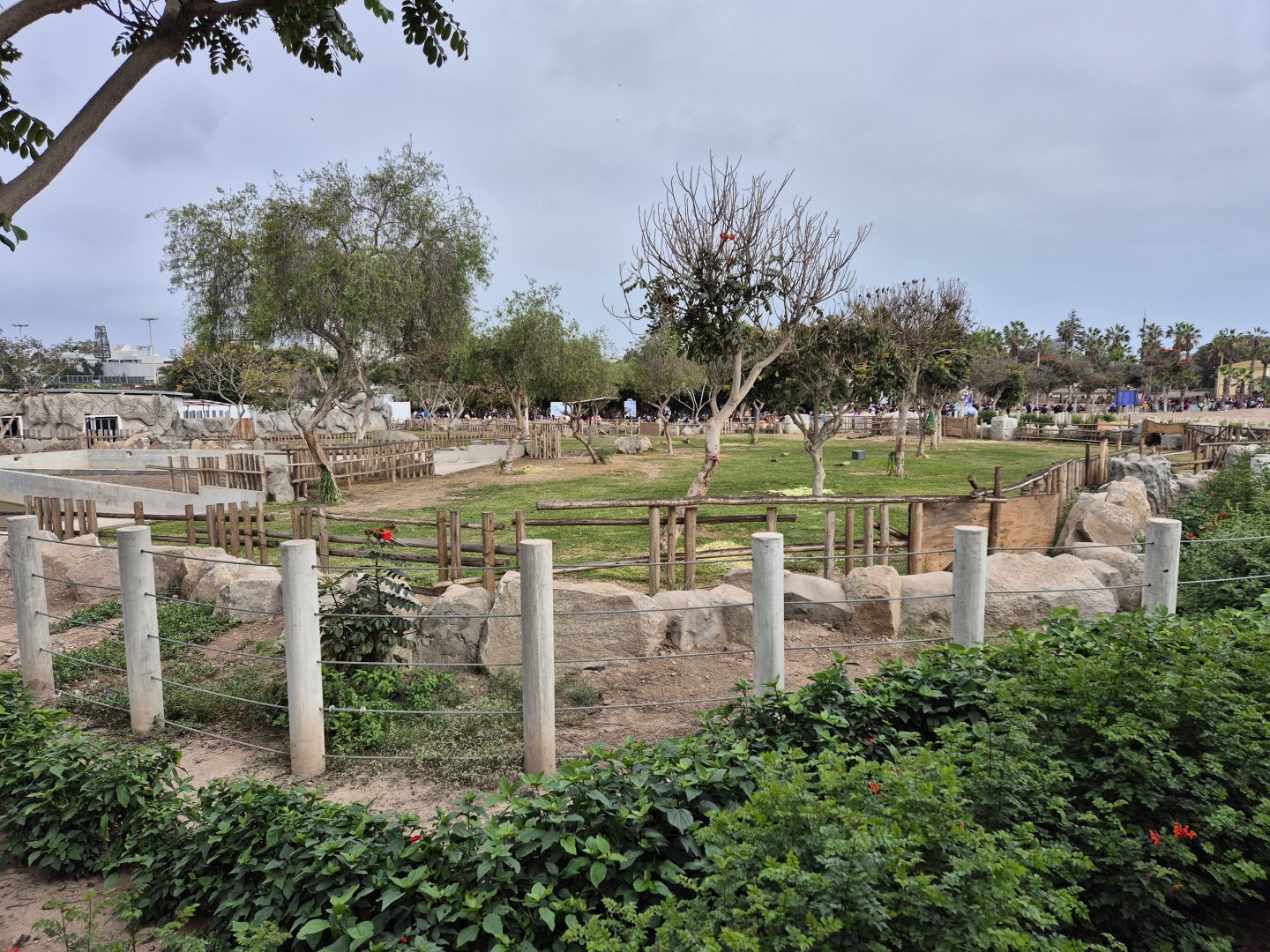 New Indian Rhino exhibit