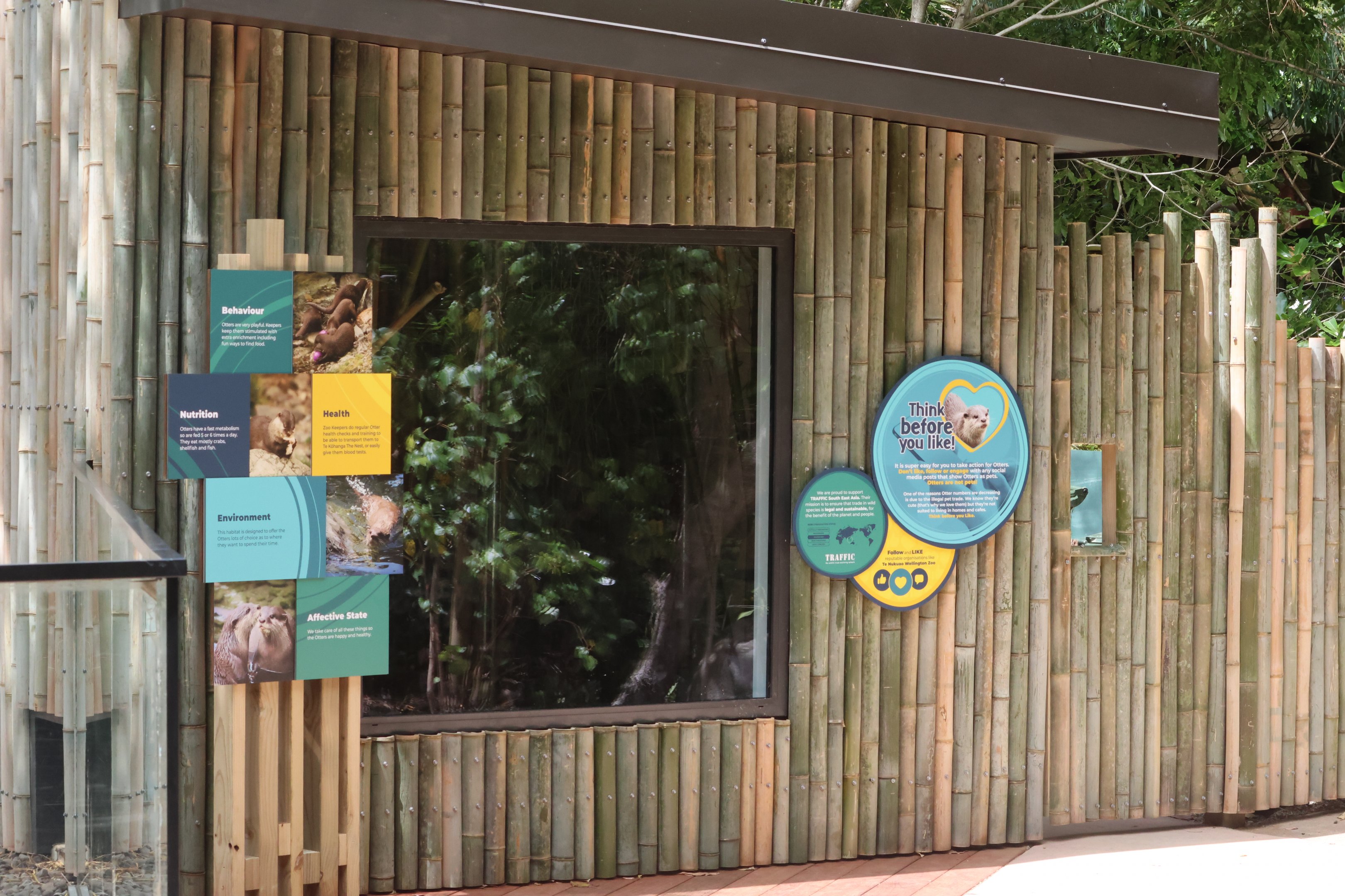 New indoor enclosure for Asian Small-clawed Otter