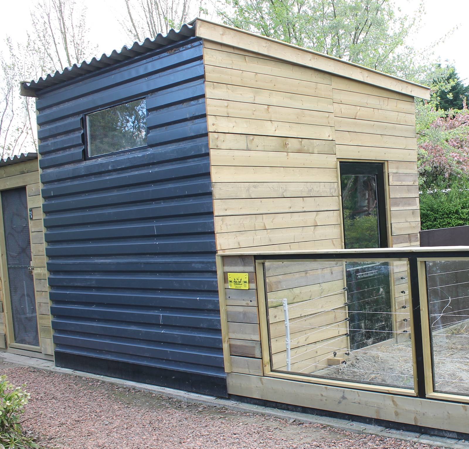 New indoor-enclosure Ring-tailed coati
