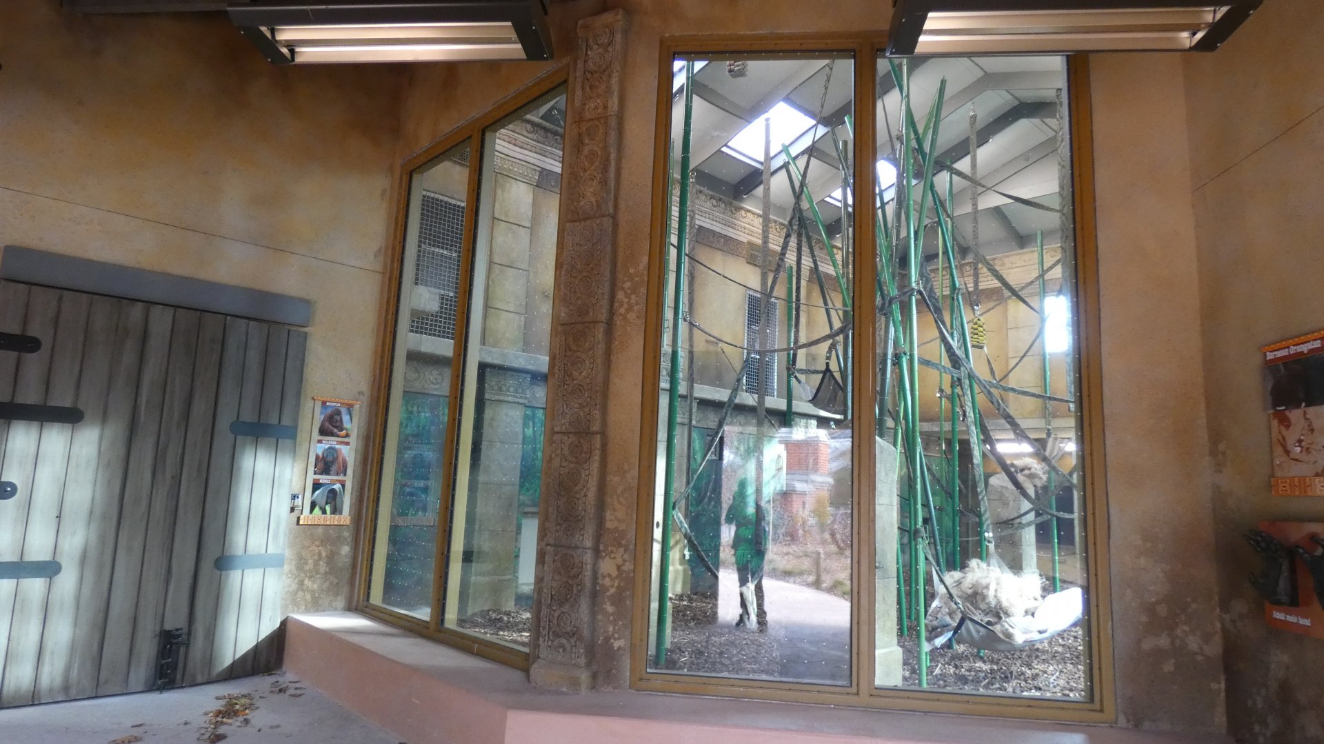 New! Indoor Orangutan Building, Australia & Islands - Nov. 2021