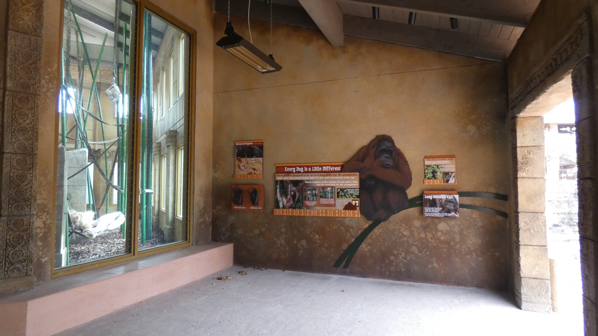 New! Indoor Orangutan Building, Australia & Islands - Nov. 2021