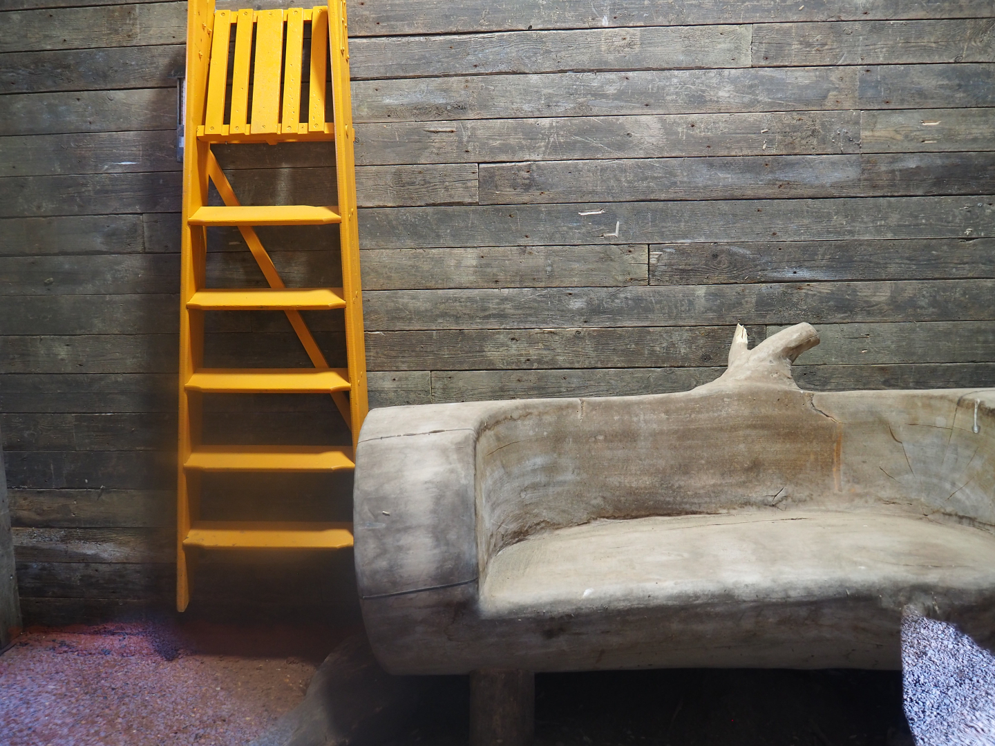 New indoor Short-beaked echidna exhibit, 2022-04-12