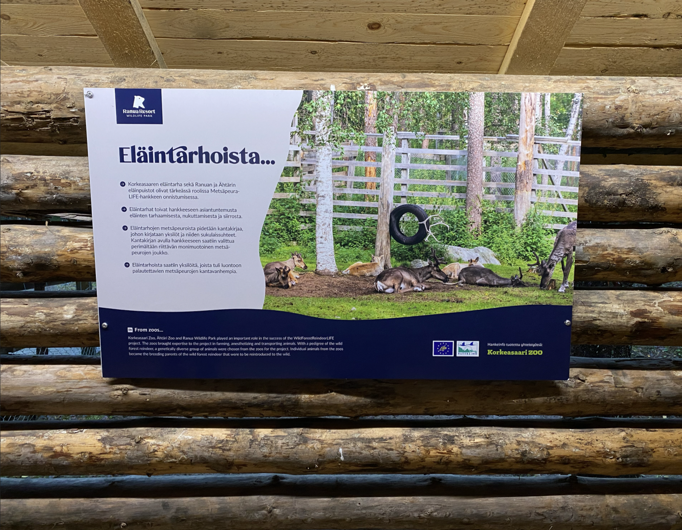 New info sign about forest reindeer reintroduction program