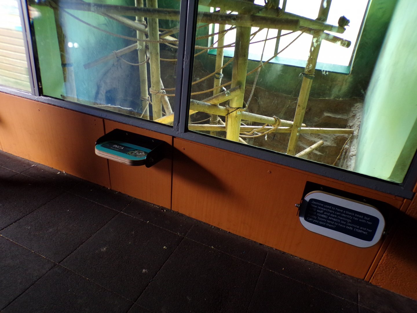 New interactive signage in Living Links 18.7.23