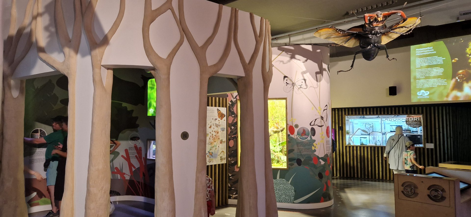 New invertebrate house