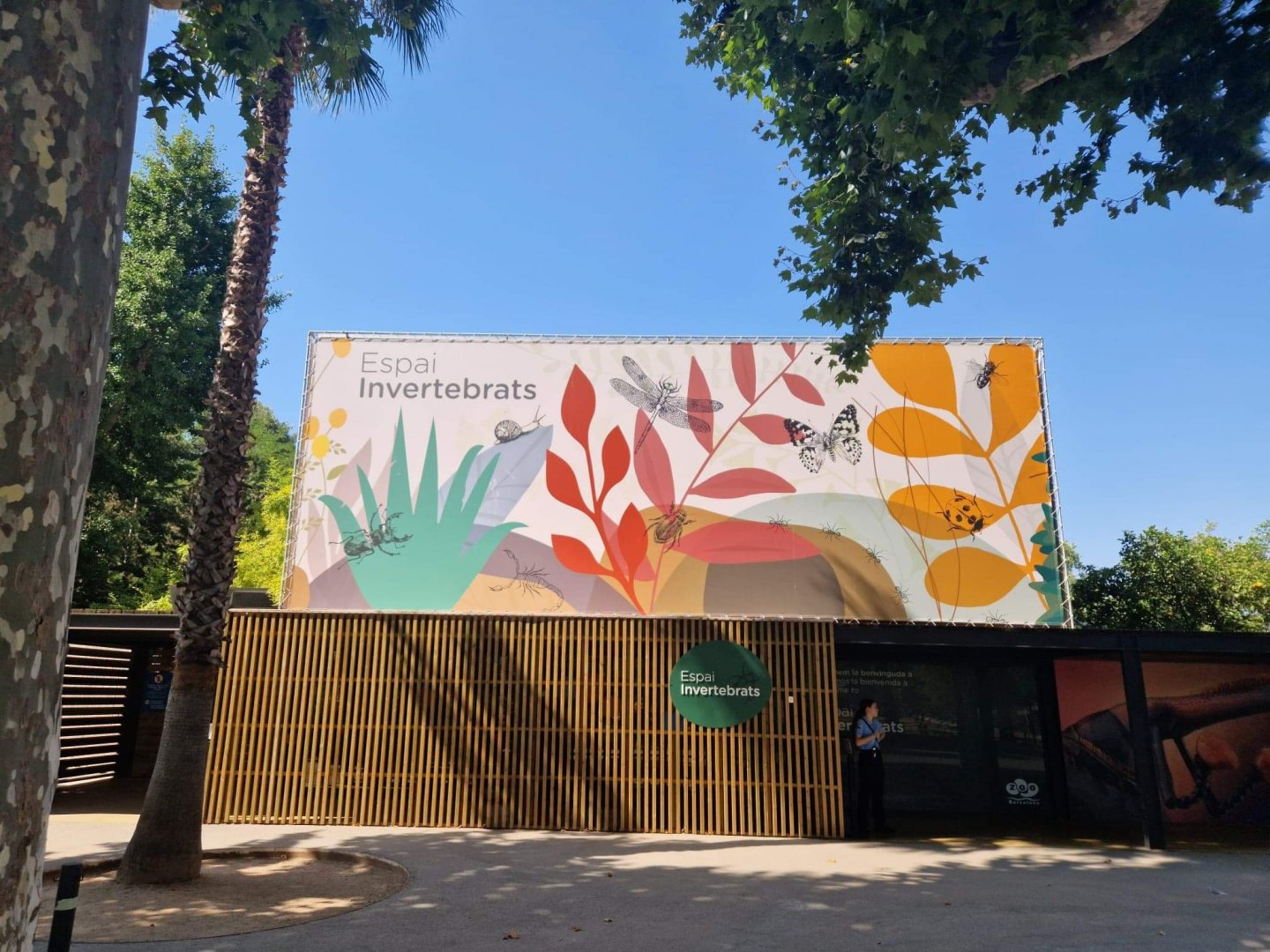 New invertebrate house