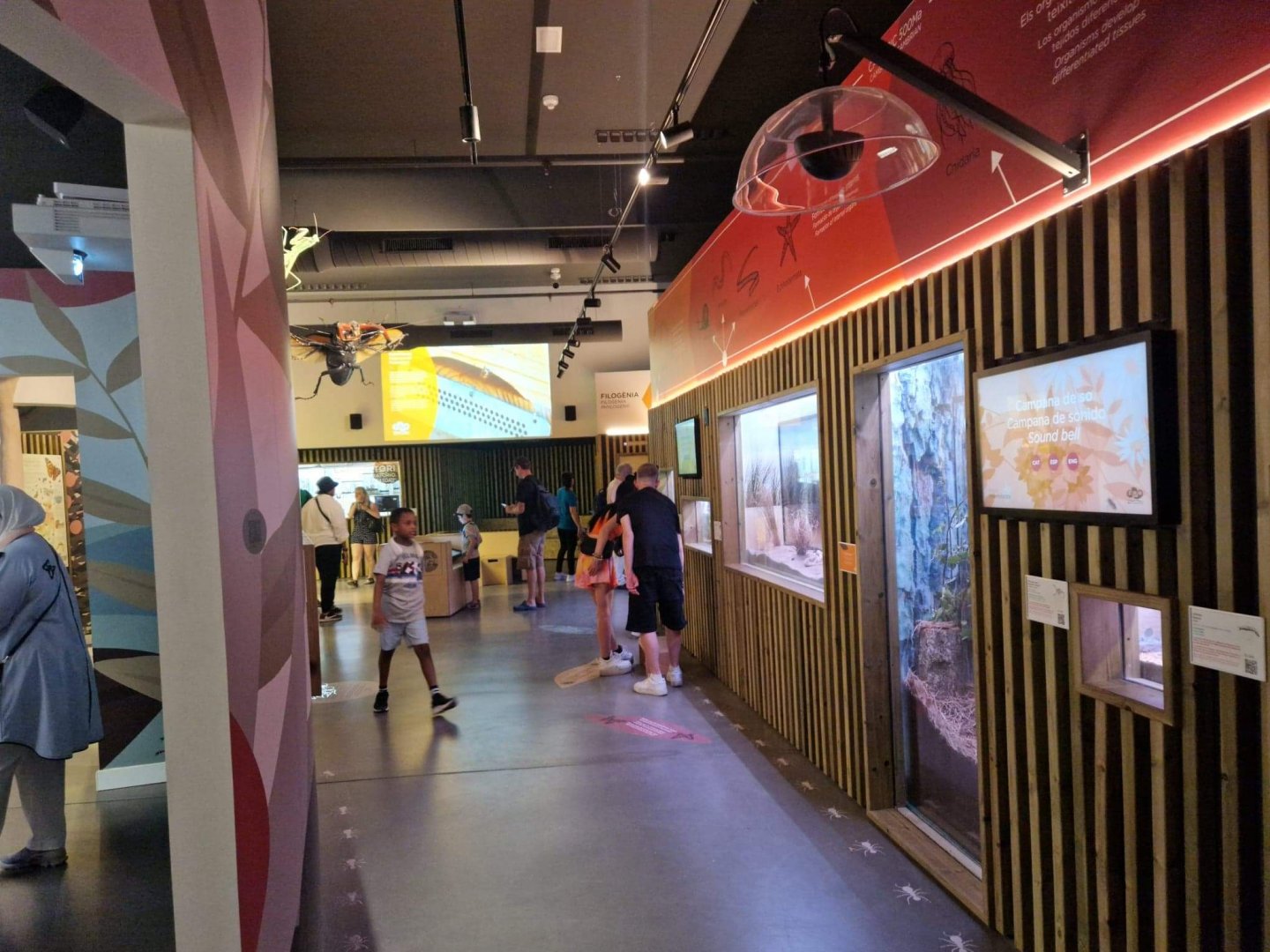 New invertebrate house