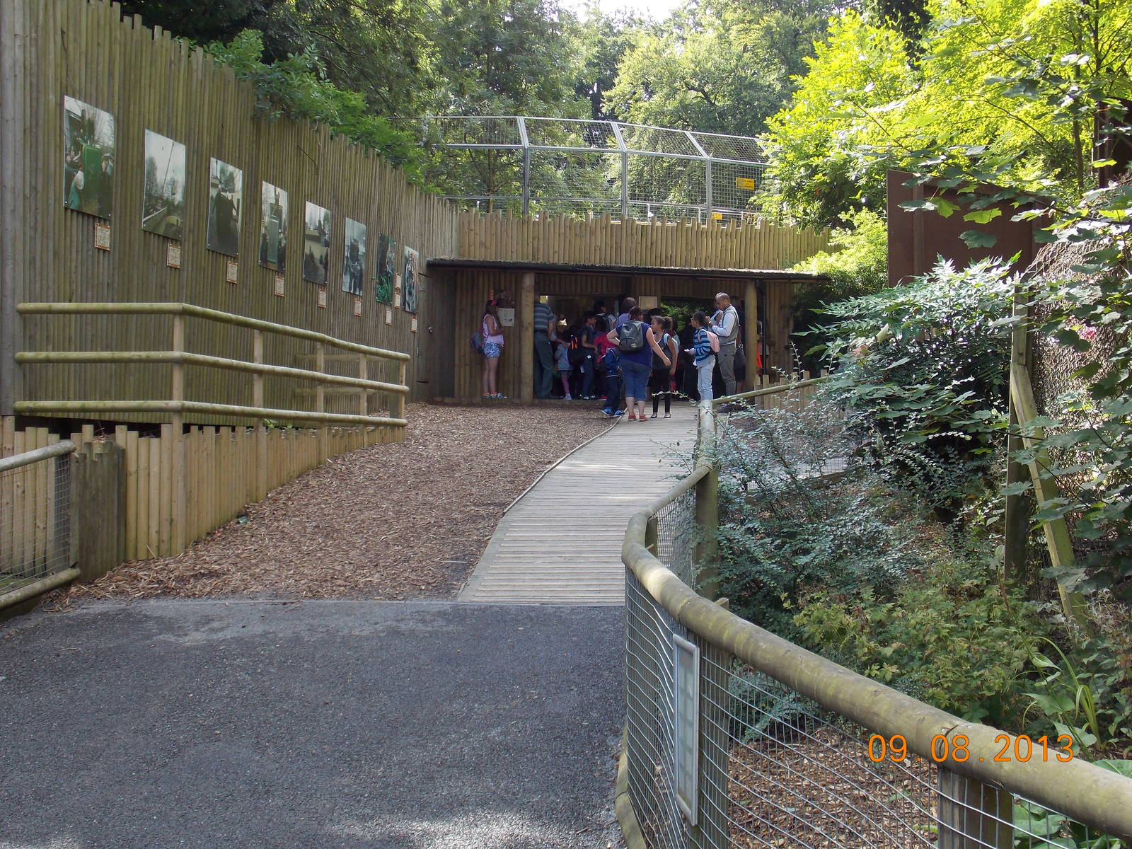 New(ish) Tiger viewing