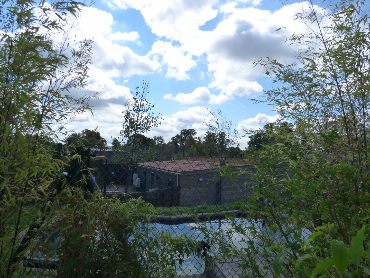 New Islands Construction Work