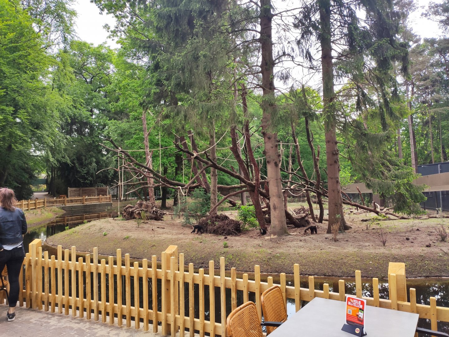 New islands for capuchin monkeys and black howlers