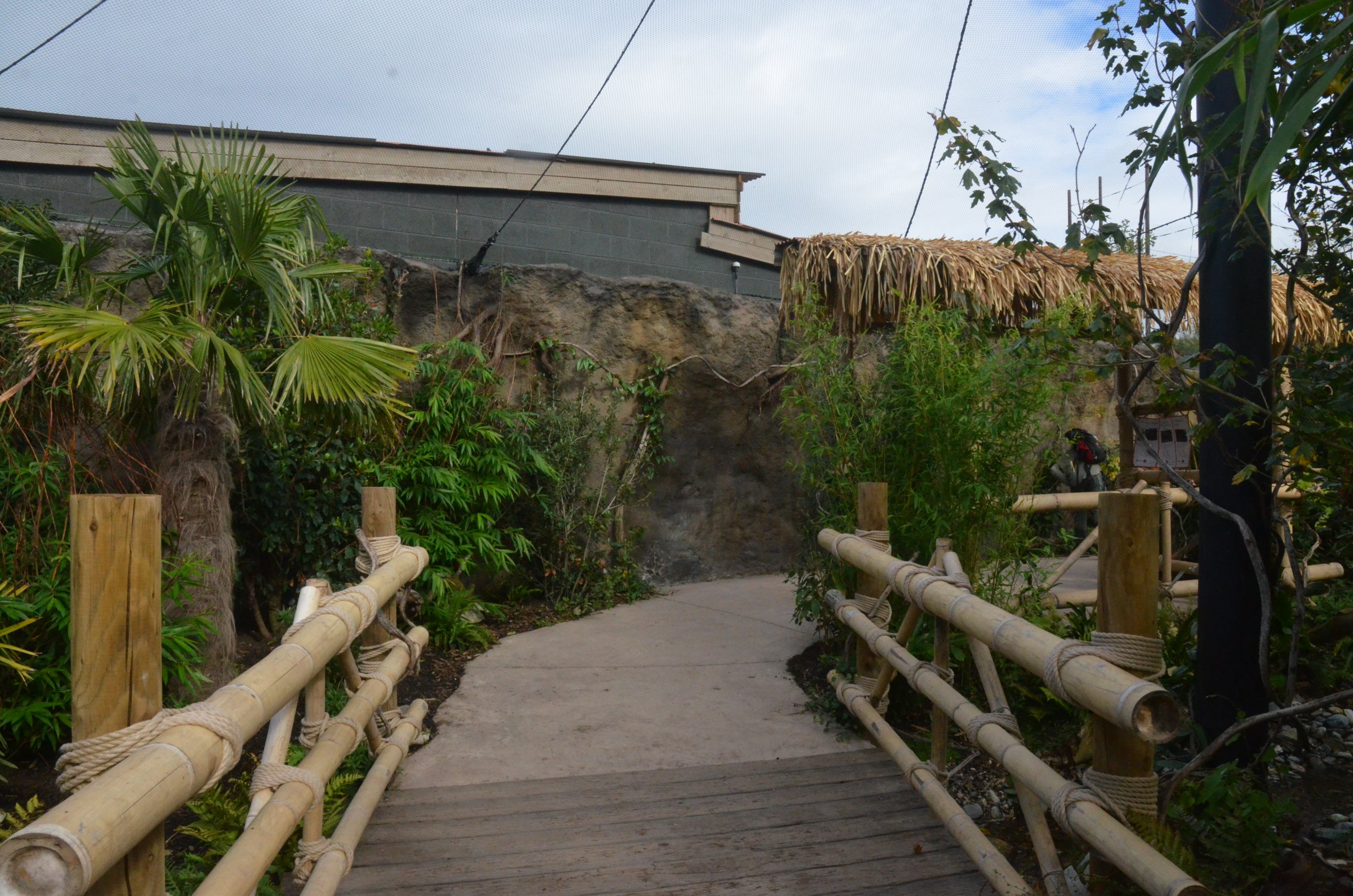 New Islands Songbird/Pheasant Aviary Interior at Chester, 30/09/17