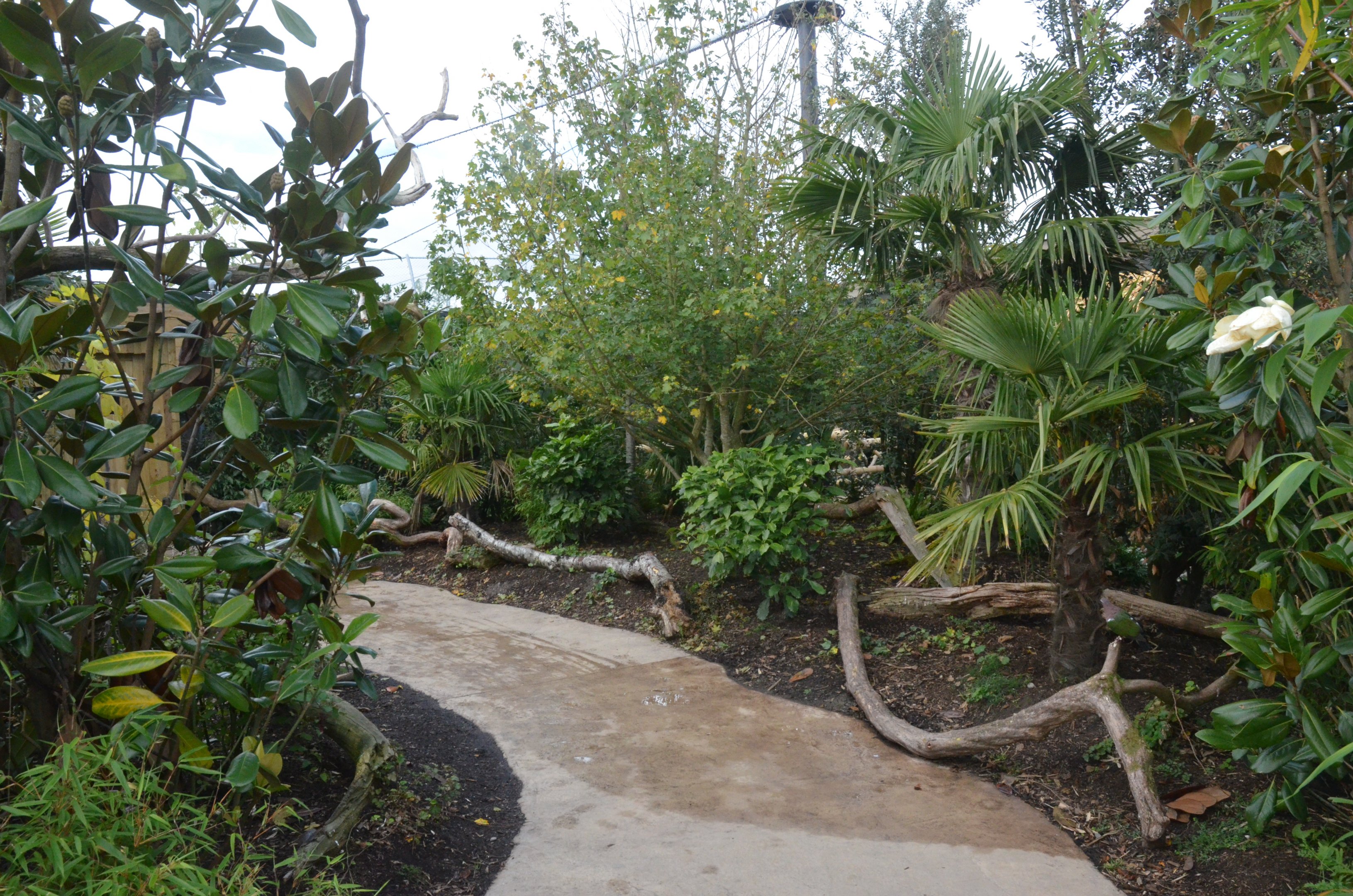 New Islands Songbird/Pheasant Aviary Interior at Chester, 30/09/17