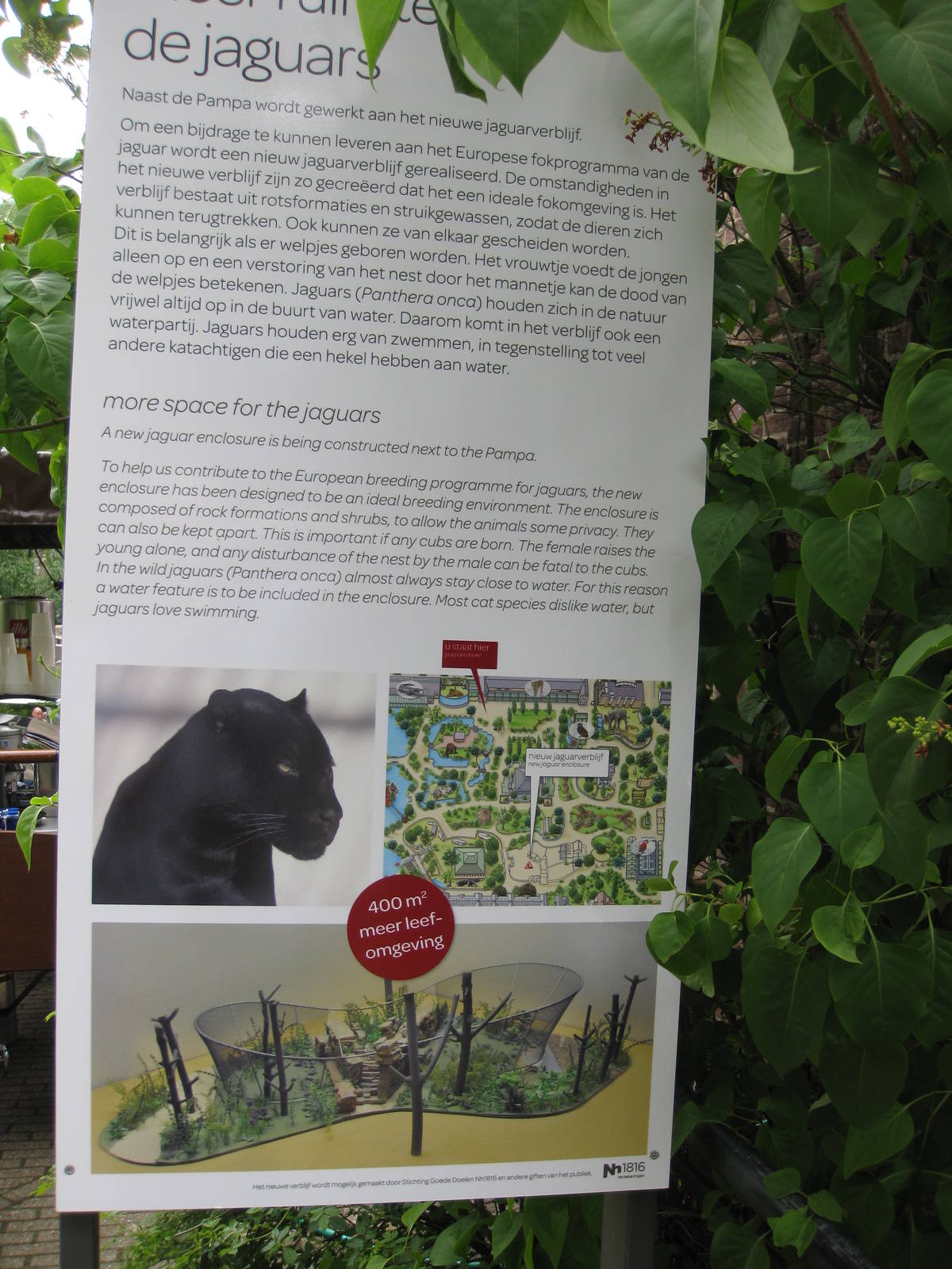 New Jaguar Enclosure Information