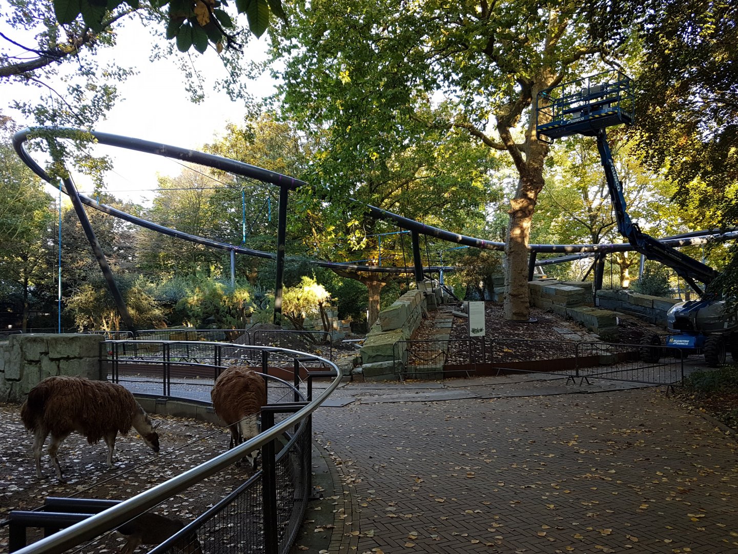 New Jaguar enclosure under construction