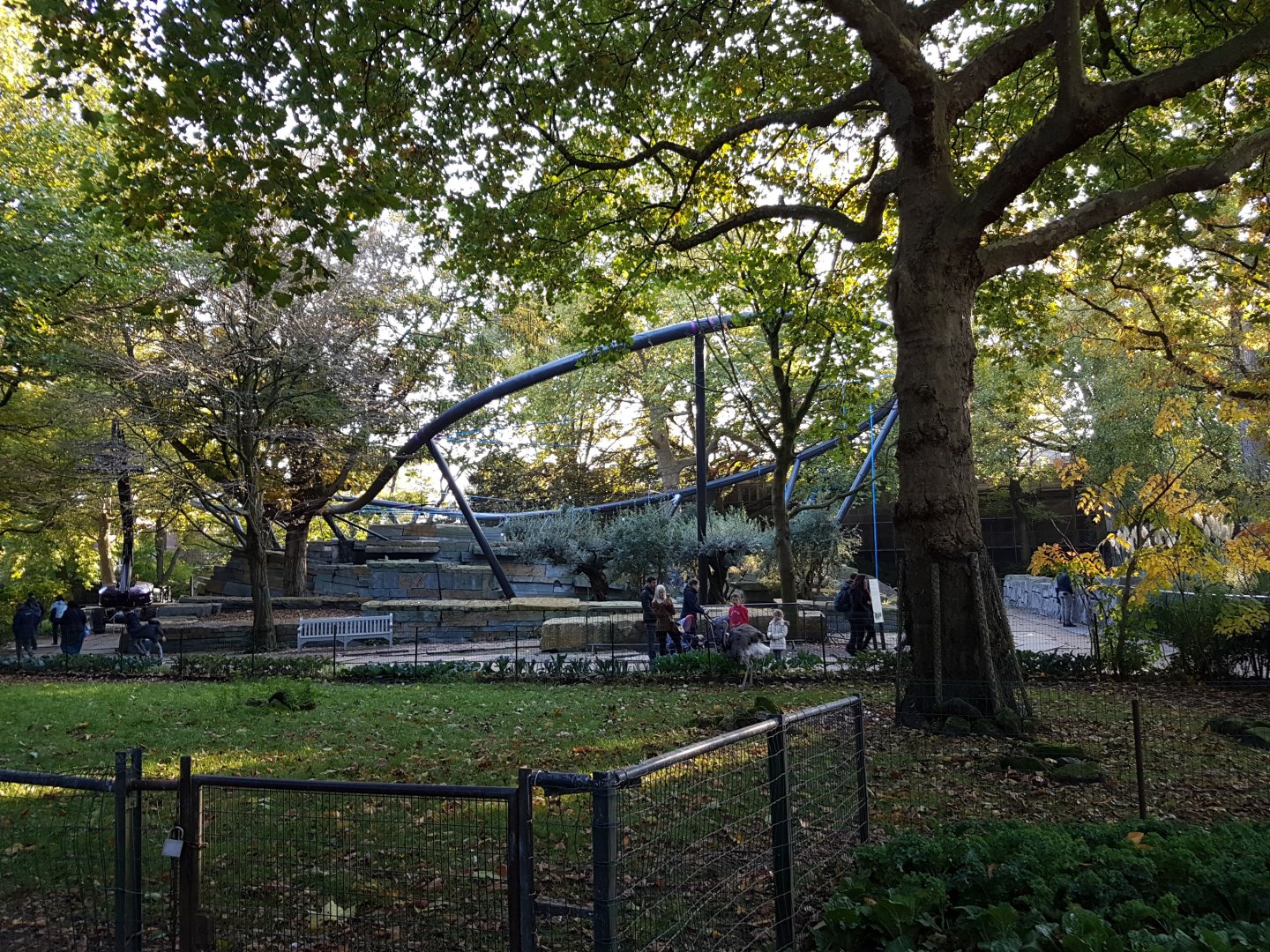 New Jaguar enclosure under contruction