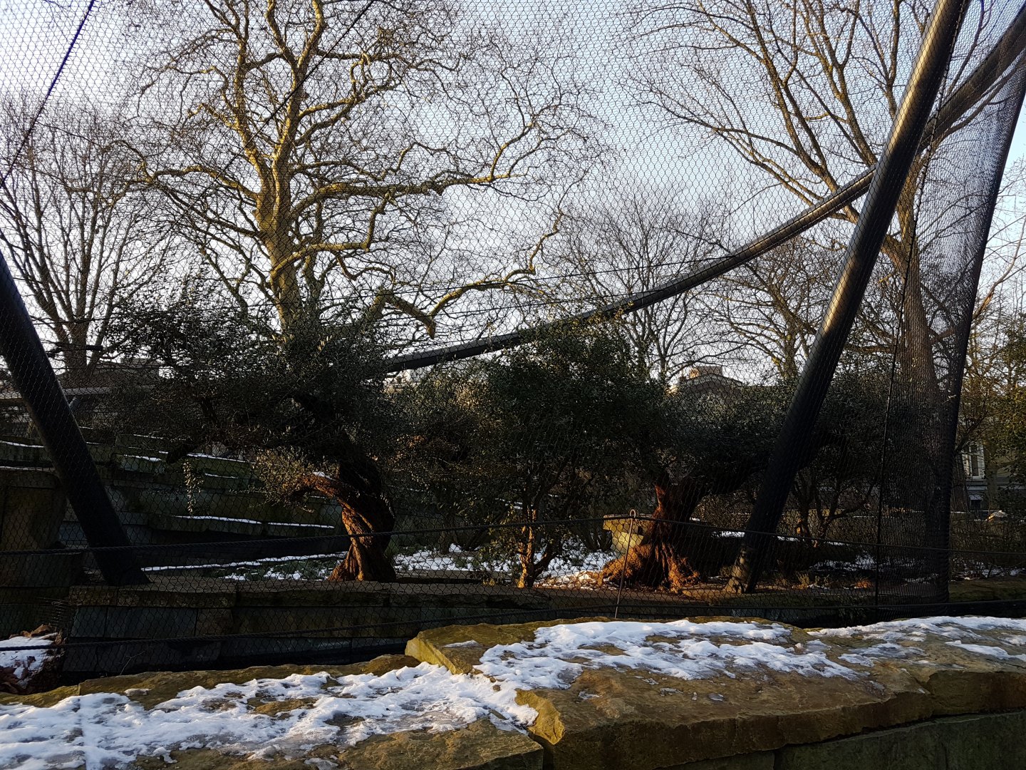 New Jaguar-enclosure